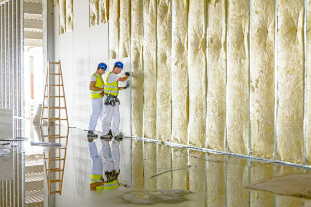Types of Insulation We Offer in Woodinville, WA